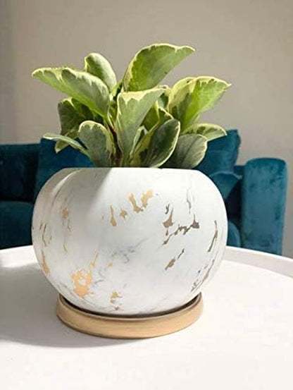 Planter Ceramic Plant Flower Pot - 5" Large Indoor Glazed Container Bonsai with Drainage Hole Saucer - Large Space, White&Golden