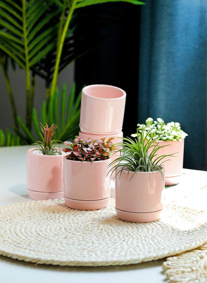 Succulent Planters Pots for Plants Indoor - 3.1 Inch Glazed Ceramic Small Plant Pot with Drainage Hole & Saucer Indoor for Home Decor 055311, Set of 6, Plants NOT Included