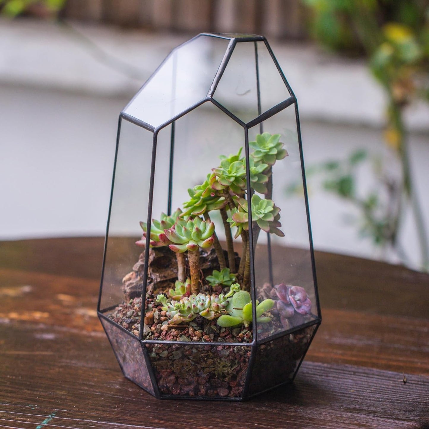 Geometric Glass Terrarium Planter for Succulent, Small Cacti - 6.5" X 5.7" X 9.8" Black Irregular Opened Container Pot, Indoor Home Garden Office Tabletop Decor (No Plants, No Door)