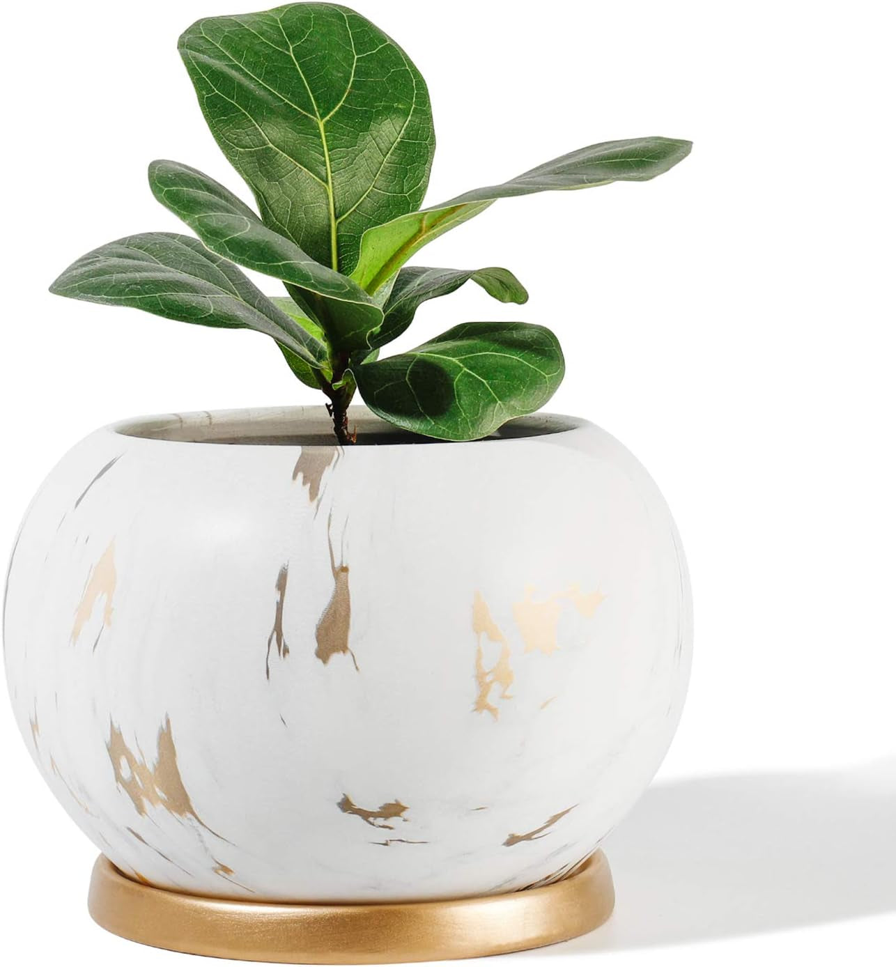 Planter Ceramic Plant Flower Pot - 5" Large Indoor Glazed Container Bonsai with Drainage Hole Saucer - Large Space, White&Golden