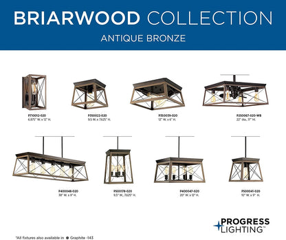 Briarwood Collection Antique Bronze Two-Light Farmhouse Flush Mount Ceiling Light